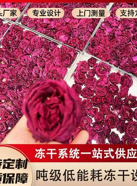 FD中小型花卉冻干机多用途冻干设备真空冷冻干燥机冻干整朵玫瑰