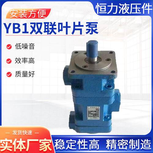 叶片泵厂家加工YB1双联叶片泵润滑泵边立式液压油泵
