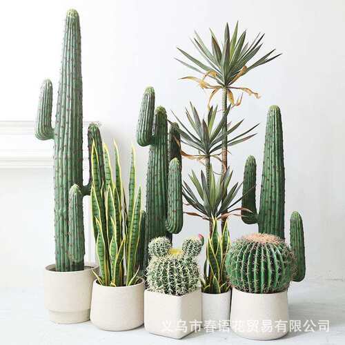 大型仿真仙人掌假植物北欧假绿植室内场景橱窗装饰摆件仙人柱