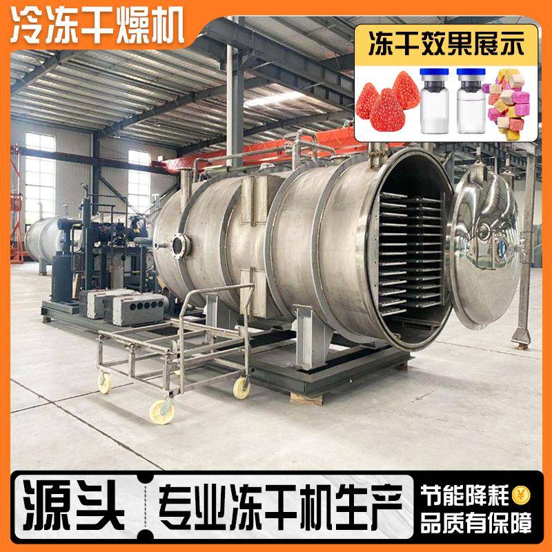 中药材冻干机人参虫草鹿茸冷冻干燥机中大型商用真空冻干设备工厂