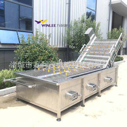 不锈钢气泡清洗机全自动草莓去杂清洗机高压喷淋洗菜机