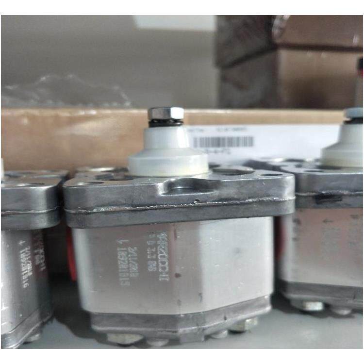 齿轮泵 原装马祖奇齿轮泵 马祖奇双联齿轮泵ALP4E-D-190-FG-V