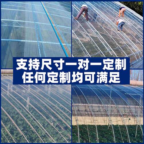 膜消雾O大棚TDF塑膜料无P滴膜透明加厚塑料布农用养殖蔬菜保温膜
