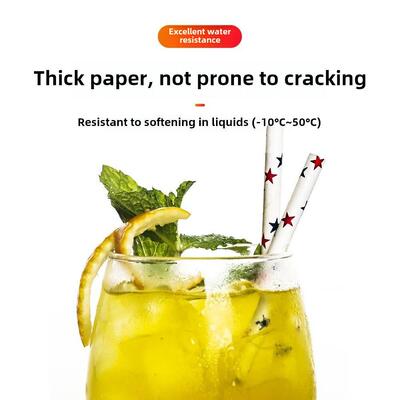 100pcs/Set Black Cocktail Straws Black Plastic Straw For Bir