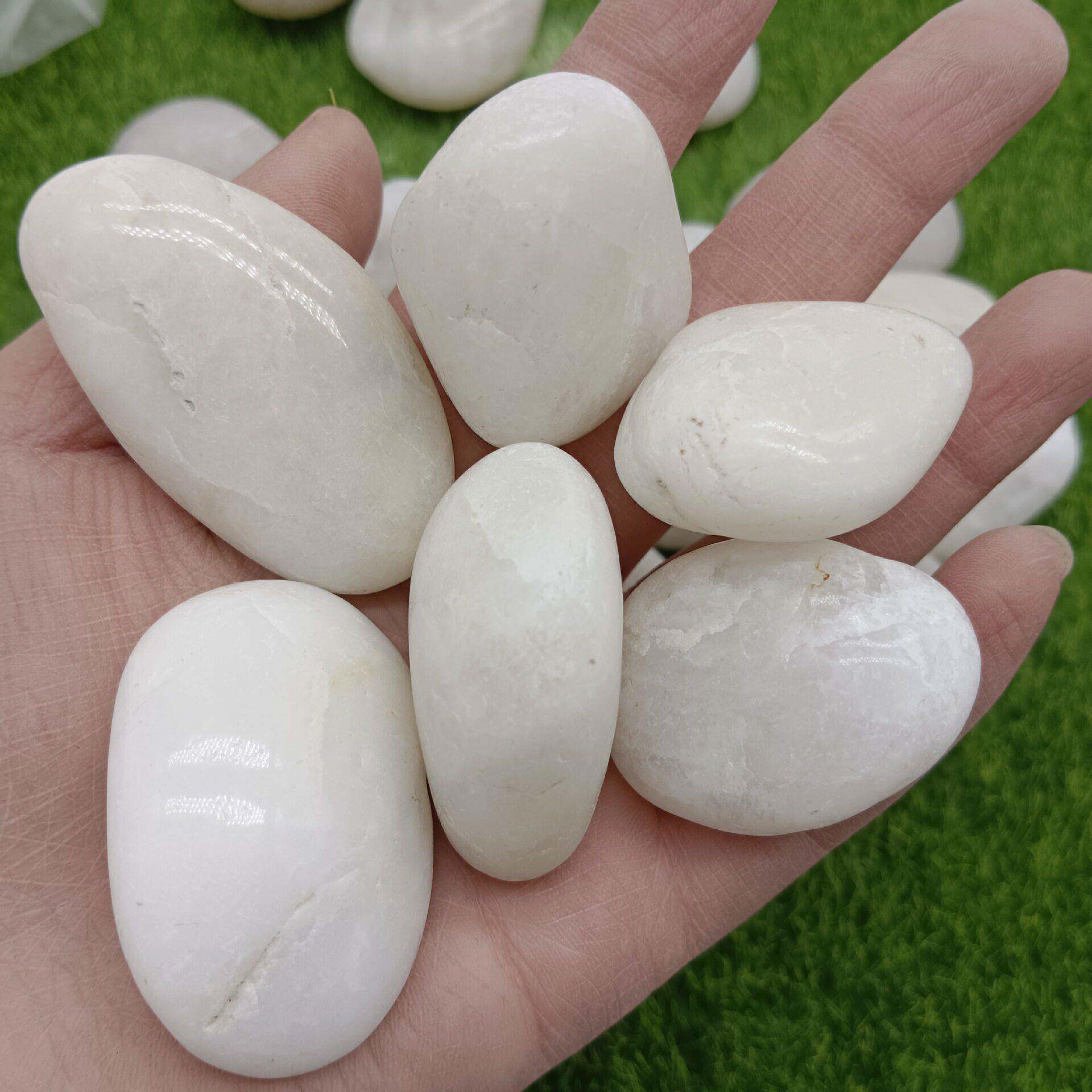 白色石子精抛鹅卵石庭院铺路造景水洗石雨花石鱼缸铺面水培白石子