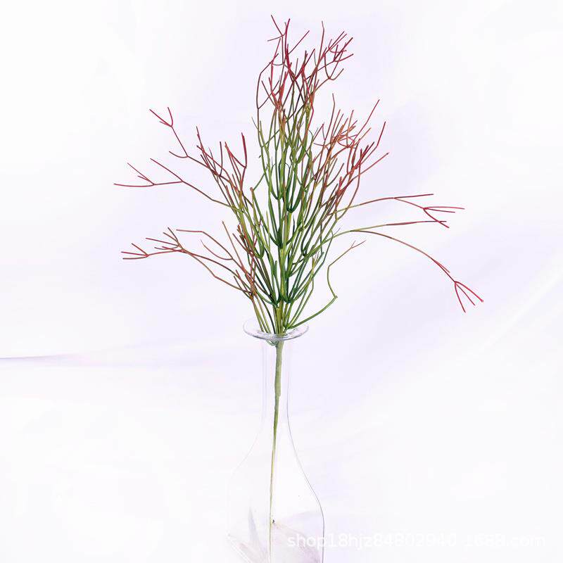 珊瑚枝节松萝铁栏垂吊植物绿植造景吊兰软装花艺设计珊瑚前面装饰
