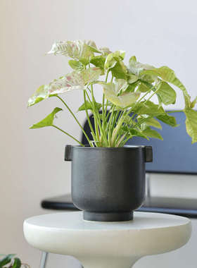 JIMU黑色发泡釉蝴蝶兰花盆专用盆多肉高脚批发高级感花盆陶盆批發