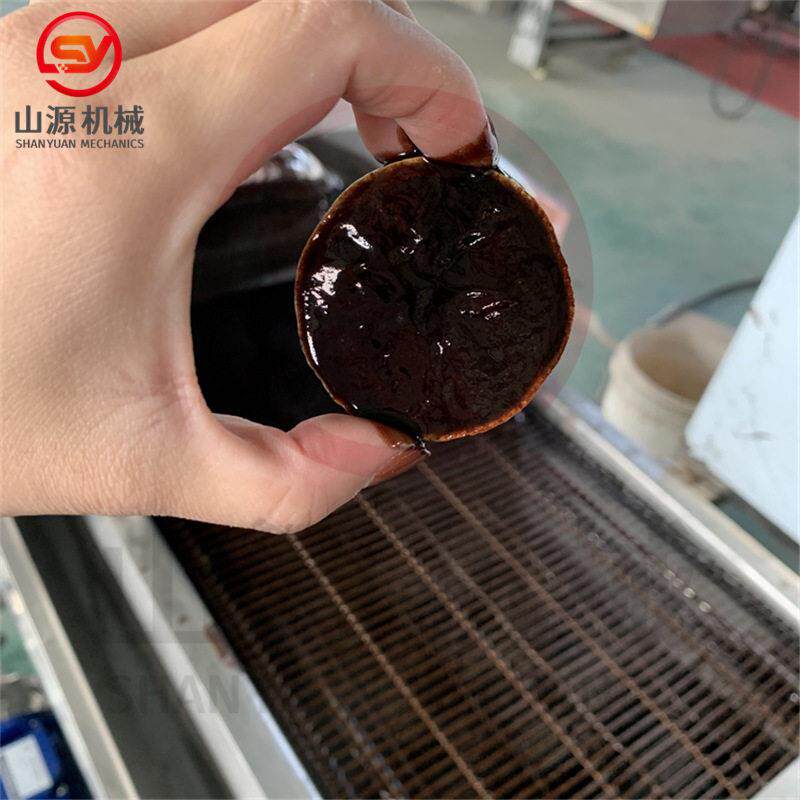 全自动冻干草莓淋巧克力酱机器隔水保温涂层机酸奶柠檬片涂层机器