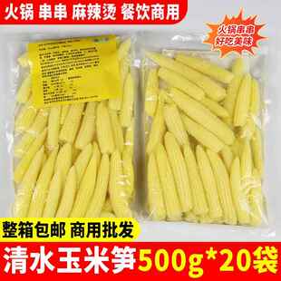 清水玉米笋嫩玉米芯迷你小火锅新鲜玉米笋去皮香甜玉米笋婴儿商用