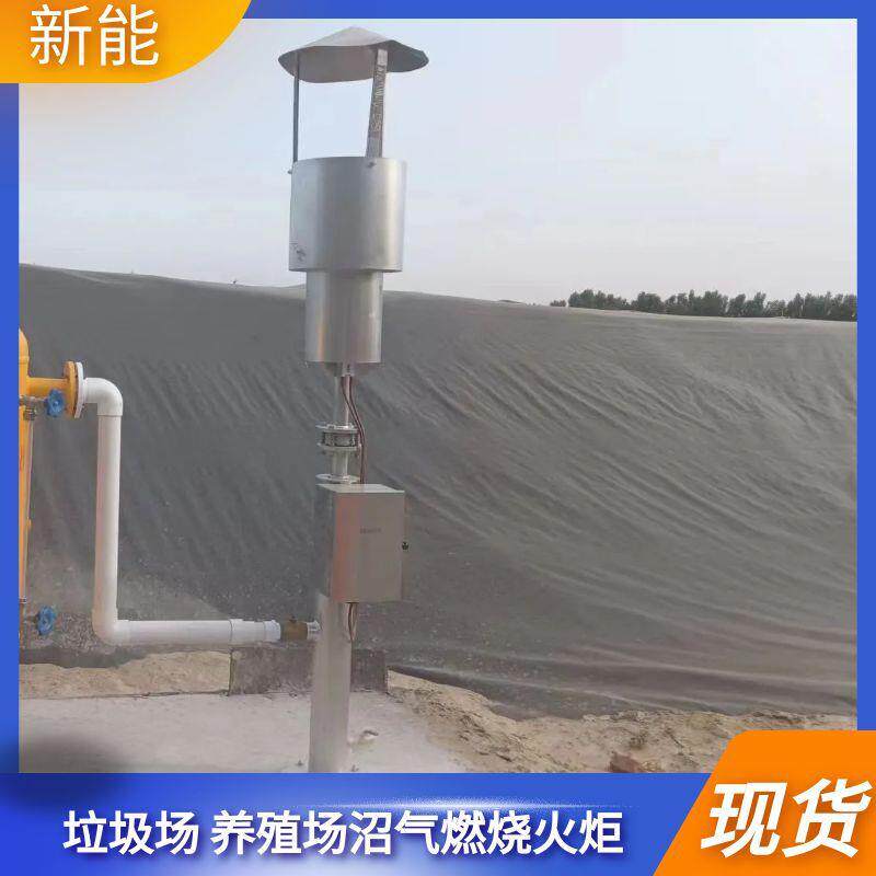 黑膜沼气池燃烧火炬外燃式小型火炬垃圾场废气排放燃烧器