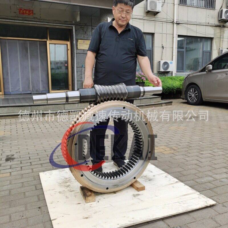 德凯定制多头平面二次包络蜗轮蜗杆副带内齿