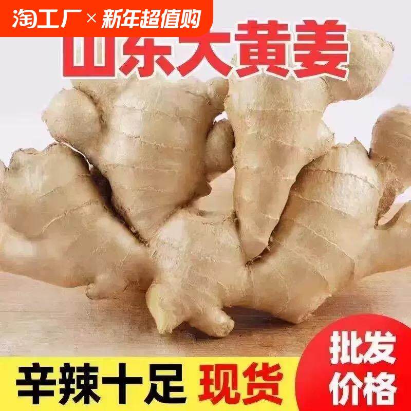 山东大姜老姜2生姜新鲜大黄姜土姜现挖子姜嫩姜鲜姜嫩姜牙5斤包邮