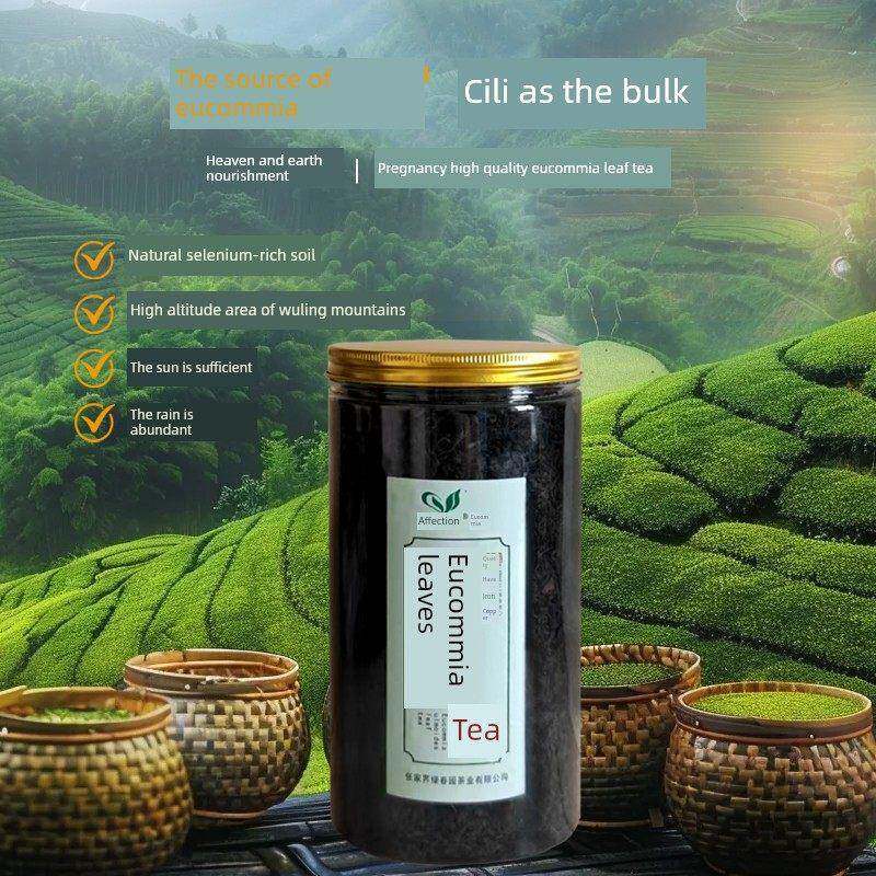 情有杜仲茶张家界慈利老树嫩叶富硒绿原酸原叶养生茶三不高睡眠