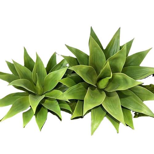 仿真龙舌兰假绿植北欧热带沙漠植物龙舌兰多肉植物造景装饰大芦荟