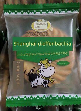 新Baichen Shanghai Dieffenbachia Biscuits Salty Chive Breakf
