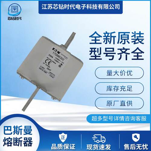 170M6202 170M6203 170M6204 BUSSMANN巴斯曼快速熔断器保险丝