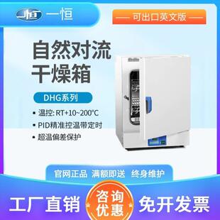 DHG-9051A自然对流恒温干燥箱实验室电热恒温干燥箱电热干燥