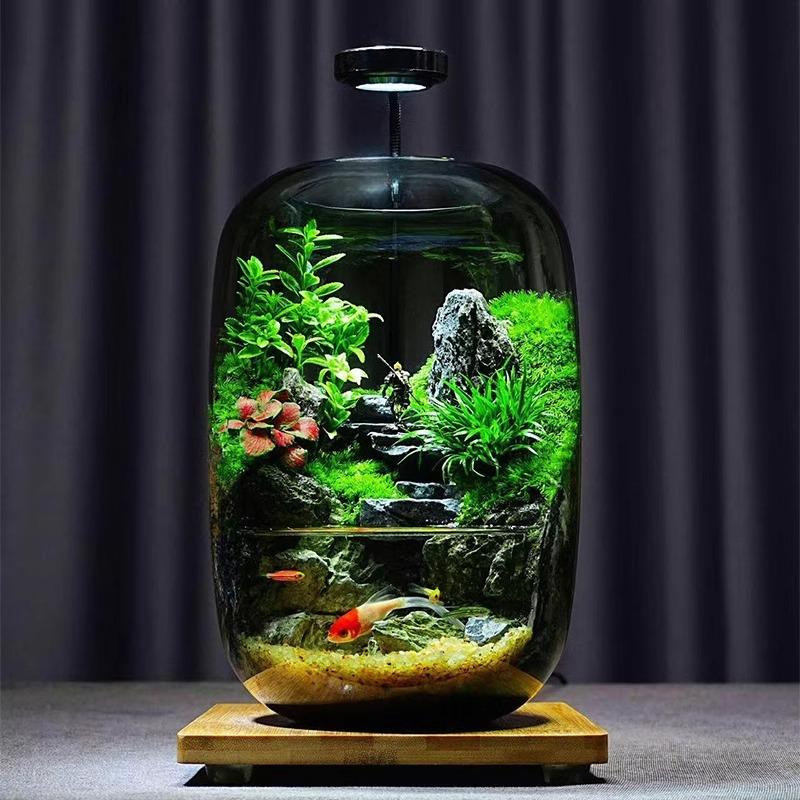 黑悟空养鱼缸微景观玻璃花瓶水培植物客厅办公桌装饰摆件苔藓造景