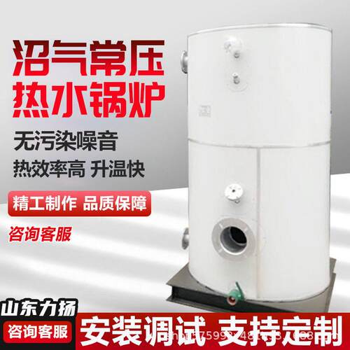 立式生物质蒸汽发生器工业服装食品用锅炉沼气常温热水锅炉