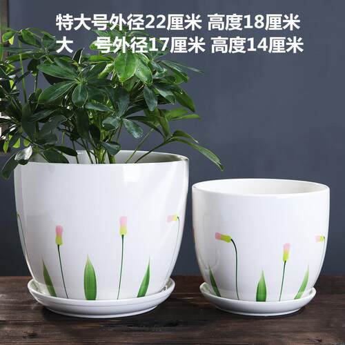 陶瓷花盆大号盆大号清仓带盘家用绿植多肉YDN花客厅室特内吊兰绿