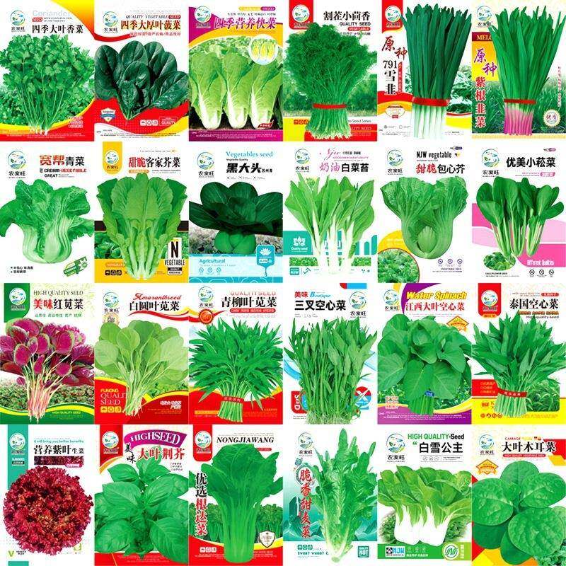 蔬菜种子豆角辣椒生菜葫芦黄瓜玉米阳台土壤菜籽种苗瓜果四季大全