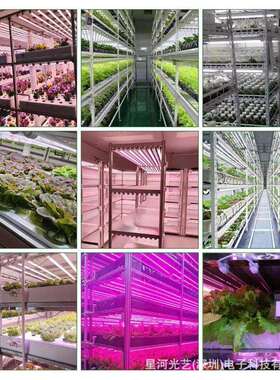 LED植物生长灯室内育苗景观全光谱绿植多肉量子板植物灯补光灯