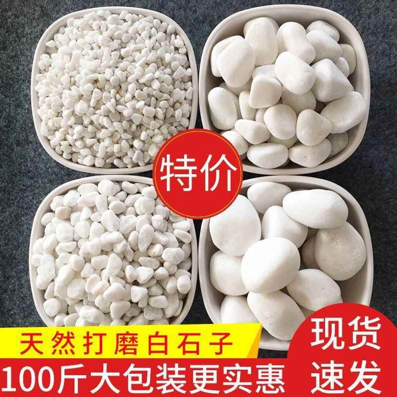 100斤白石子白色鹅卵石庭院造景装饰白花园铺地铺路白色砾石