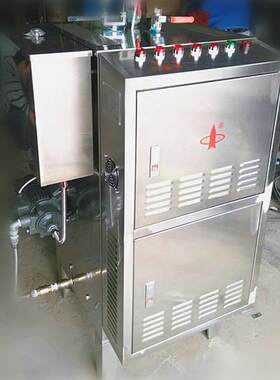 立式压电热取暖锅炉蒸汽加热智能款整烫设备服装沸腾炉