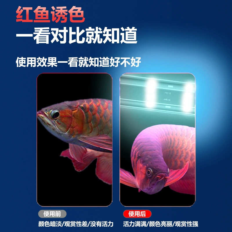 专为鱼缸观赏设计龙鱼专用LED照明灯三基色防水增艳增红潜水灯