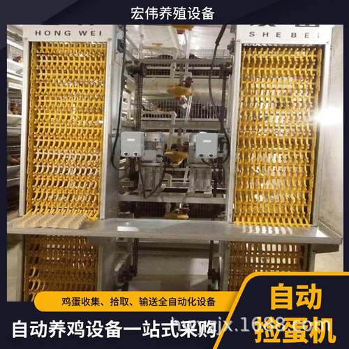 全自动4层拣蛋机大型自动化养殖场配套捡鸡蛋设备厂家供应