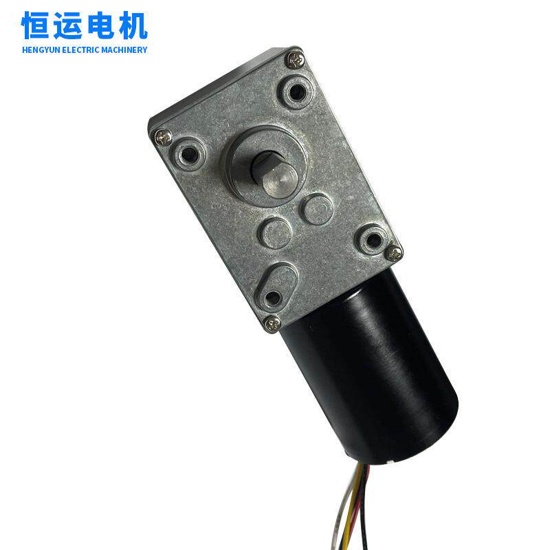 低噪音直流无刷5840涡轮蜗杆减速箱电机静音微型