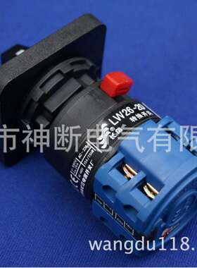 【定-制】LW26-20 38D-164C0391/2S1-I【温州长江】转换开关
