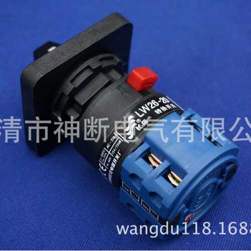 【定-制】LW26-20 38D-164C0391/2S1-I【温州长江】转换开关