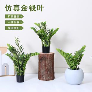 仿真绿植金钱叶盆栽室内客厅家居落地装饰摆件尤加利仿生植物盆景