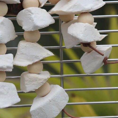 Parrot Chewing Toys Bird Natural Wooden Bead Cuttlebone