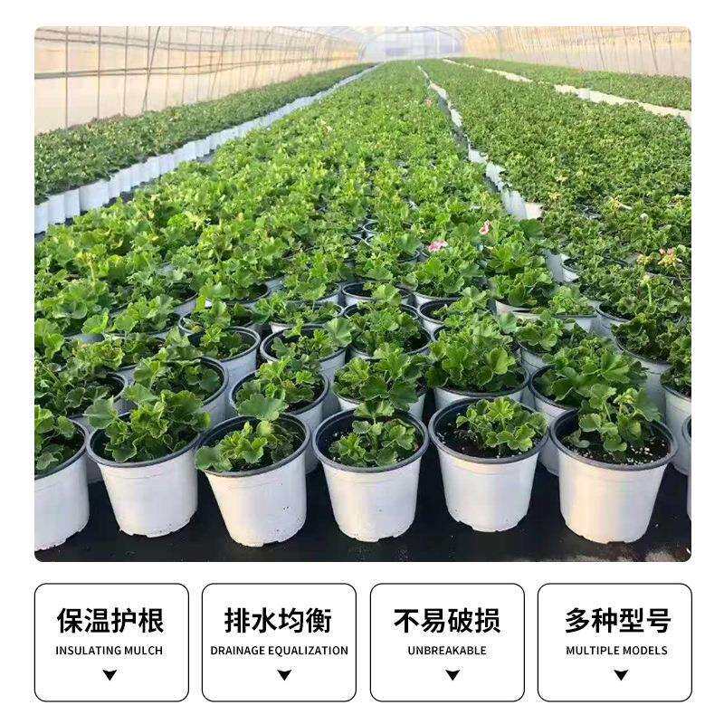 加厚pp双色双色花盆彩花盆育色苗盆种双色花盆植肉盆基地盆盆多种