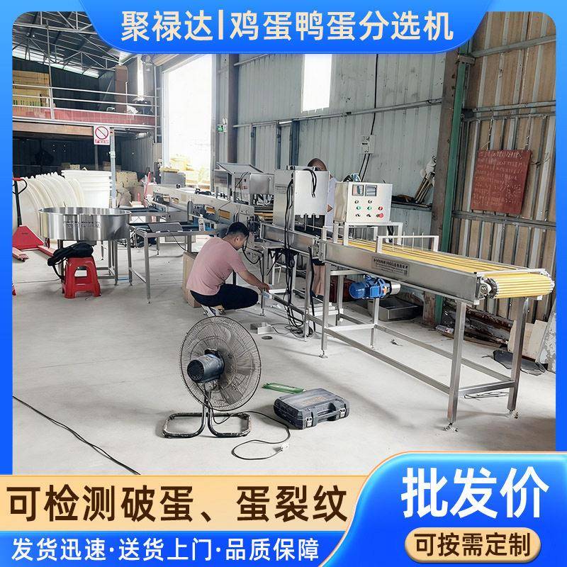 鸡鸭蛋类重量分选机托盘式称重分拣机食品多级蛋品分选机厂家