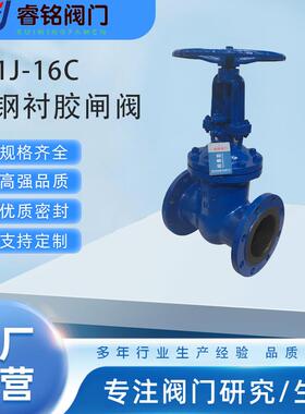 铸钢衬胶闸阀Z41J-10C防腐闸阀明杆闸阀法兰闸阀