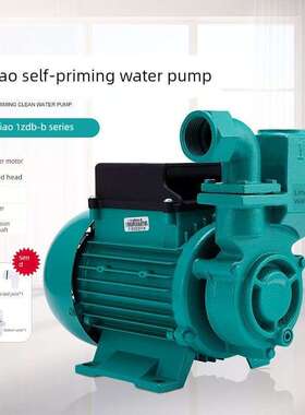1ZDB35自吸清水泵广东凌霄牌水泵家用增压泵凌霄泵抽水泵抽水机