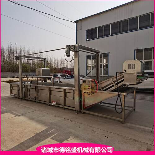 韭菜清洗流水线果蔬类气泡清洗机DMS-5000肉类解冻清洗流水线