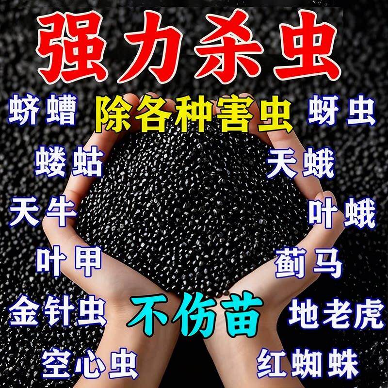 撒施型防虫药清菌颗粒剂土壤除虫专用种果蔬菜地驱虫杀虫专用肥料