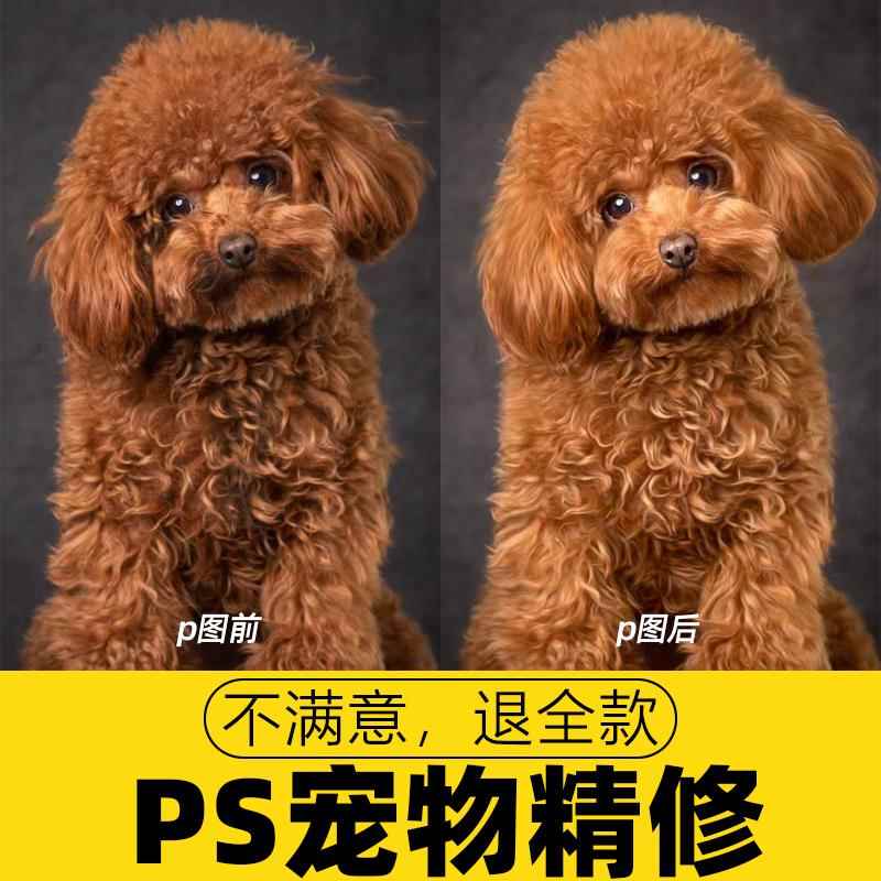 宠物精修照片修图写真狗狗萌猫证件照p图抠图修毛发特效PS调滤镜