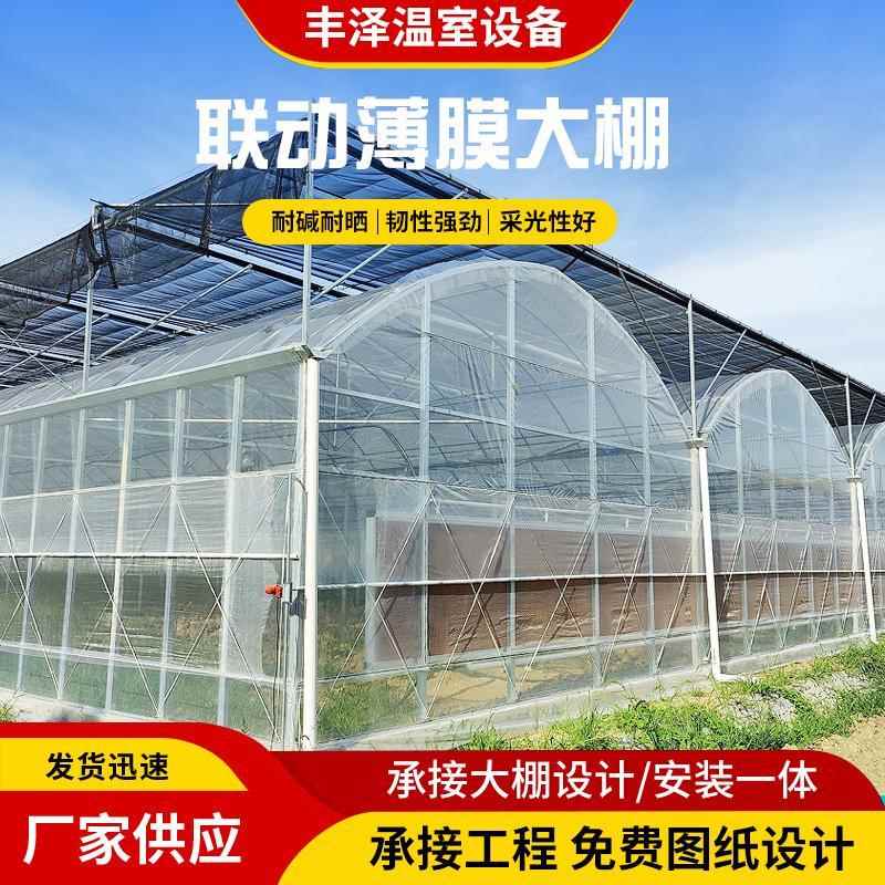连栋薄膜大棚钢管骨架智能内外遮阳花卉蔬菜育苗薄膜连身温室大棚