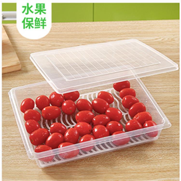 厨房沥水保鲜盒塑料鱼盒海鲜蔬菜防串味长方形冰箱冷藏储藏盒