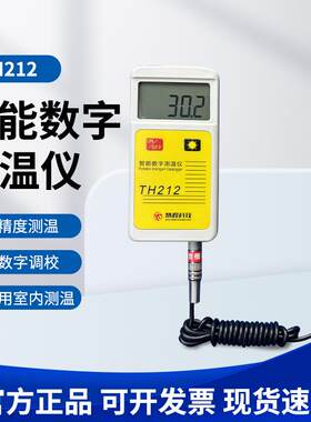 TH212高精度温度表工业电子测温仪 物业热力供暖室内测温检测仪