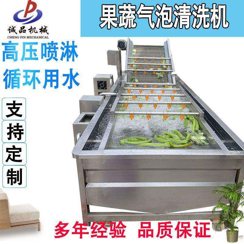 大型辣椒生姜水果蔬菜气泡清洗机全自动草莓芒果萝卜清洗机设备
