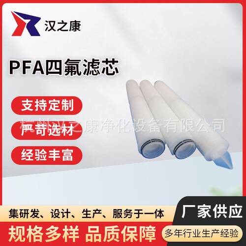 厂家PFA四氟过滤器微孔膜多层分级过滤工业折叠滤芯净水器