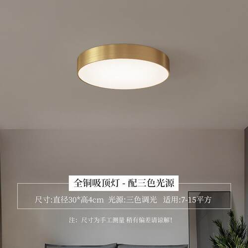 轻奢全铜卧室灯吸顶灯北欧创意灯饰现代简约网红led书房灯具