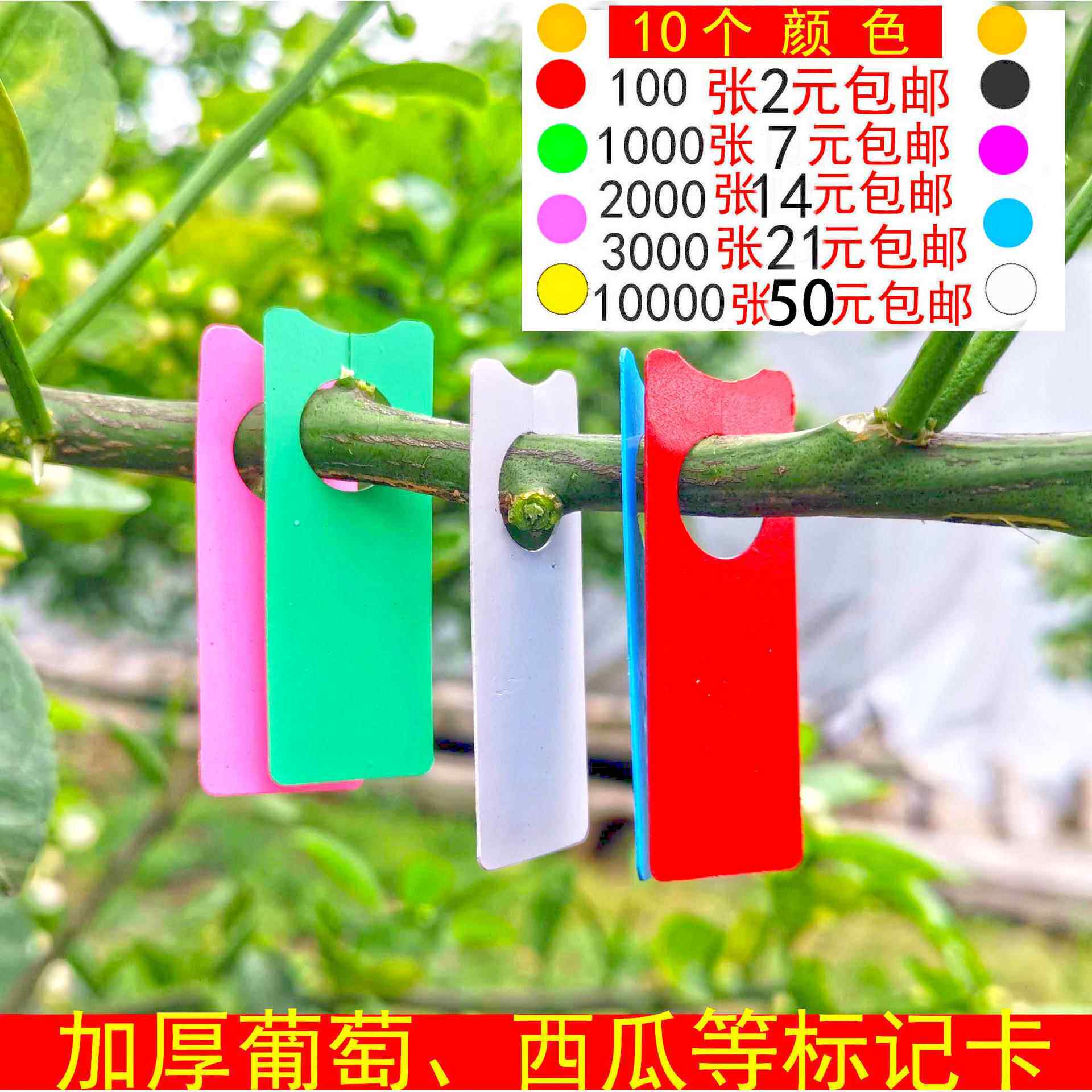 供亚马逊葡萄西瓜记号卡彩色园林色卡植物吊牌西瓜标记牌环扣标识
