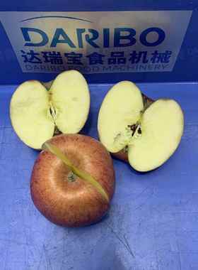 W连续果蔬分切半机GEZ 果均半机器工厂直供各种水分蔬菜均匀对式